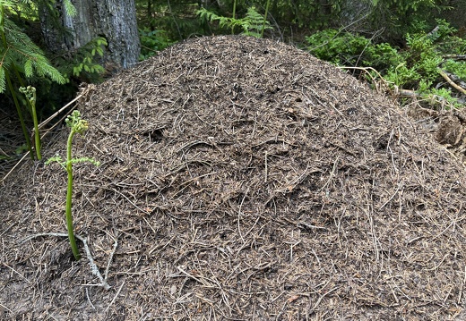 22-05-29 13-51-45 0976